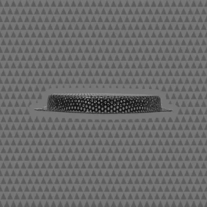CHDSGG - Image 2