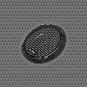 C65G - Image 4