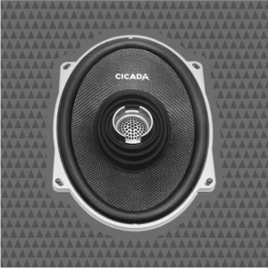 CXX57.2 - Image 2